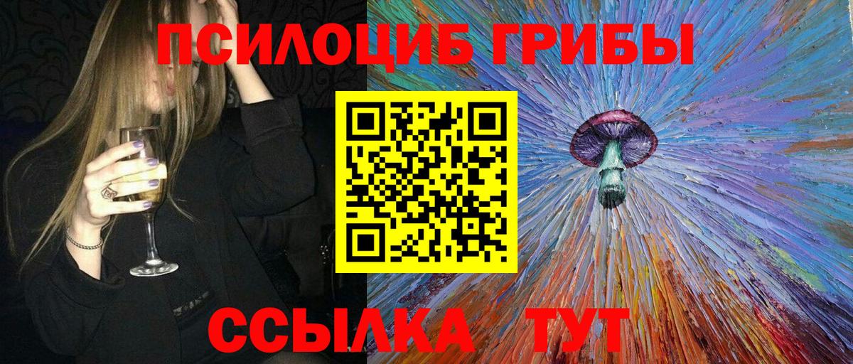 Псилоцибиновые грибы GOLDEN TEACHER  Вход с VPN  Псилоцибиновые грибы Psilocybine cubensis  купить закладку  Заволжье 